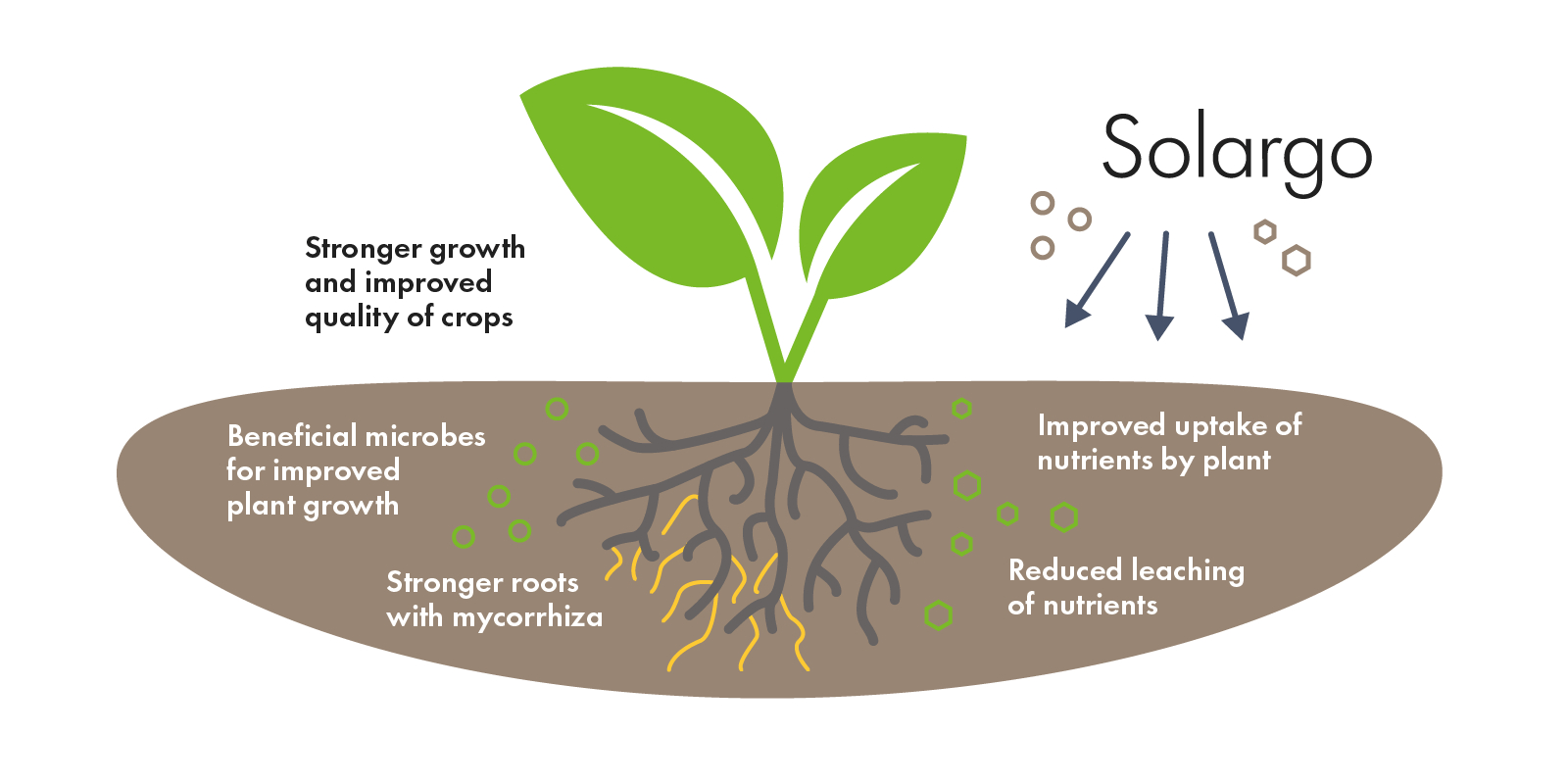 Bio-Product Development for Sustainable Agriculture